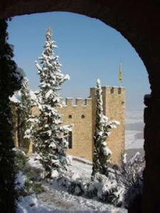 Castell de Montsonís