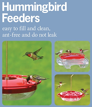 wild birds unlimited feeding hummingbirds in the summer wild birds unlimited feeding hummingbirds in the summer