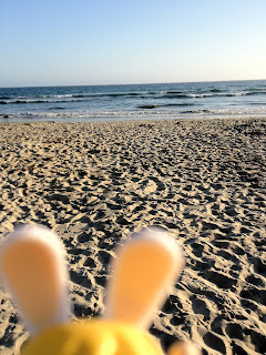 Lapins crétins à la plage - Newport Beach California