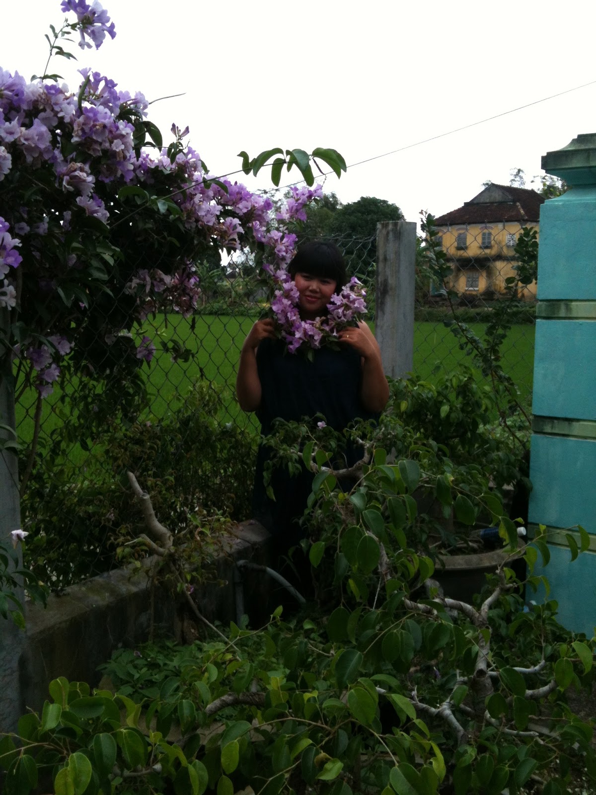 [Hình: Picture3+1250.JPG]