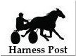 Harness Post