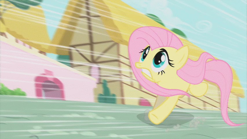 Funny pictures, videos and other media thread! - Page 14 179962+-+animated+a_bird_in_the_hoof+fluttershy+running