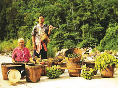 Ban Khiri Wong: A community against deforestation