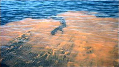 Fenomena Air Laut Merah Di Sabah 2012