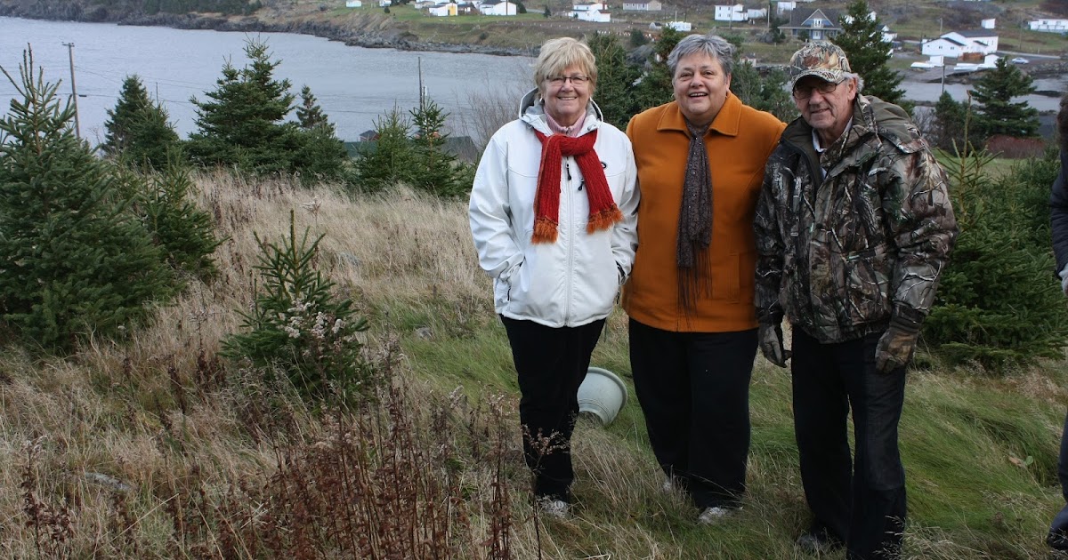 ICH Blog New Perlican Thinks About Cemetery Restoration