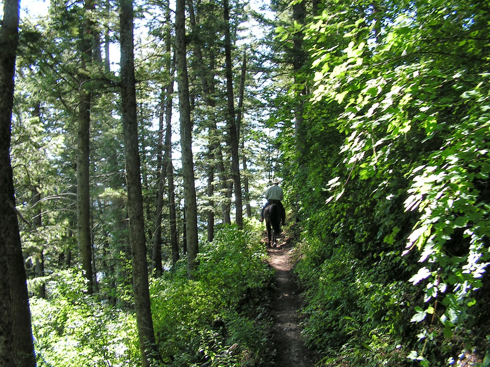 Dream Packer Trail Adventures Blacksmith Fork Canyon, Utah