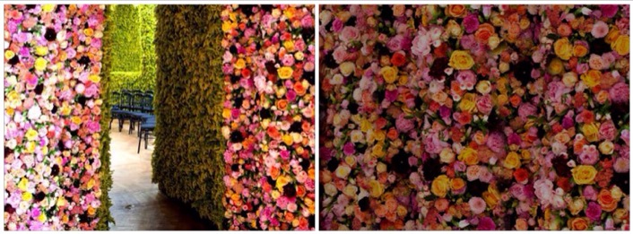 Mark Colle Mark Colle