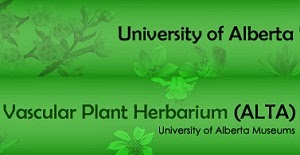 University of Alberta Vascular Plant Herbarium (ALTA)