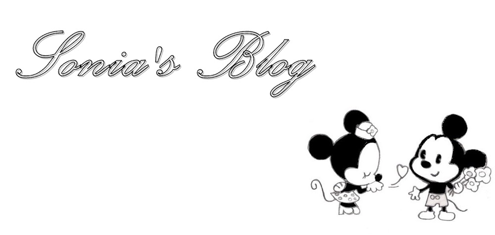 Sonia's Blog 