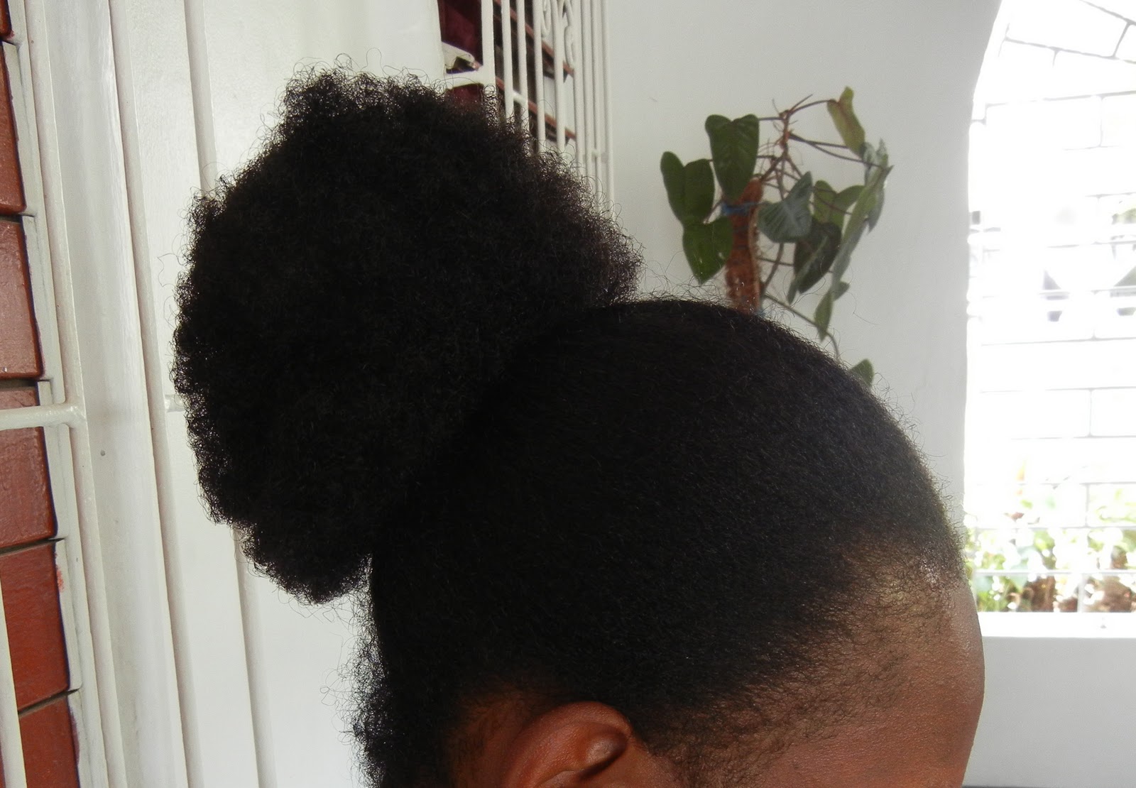 Hairstyles Today S Natural Hair Styles In Jamaica
