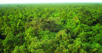 to Madhupur Tourist Places of Madhupur