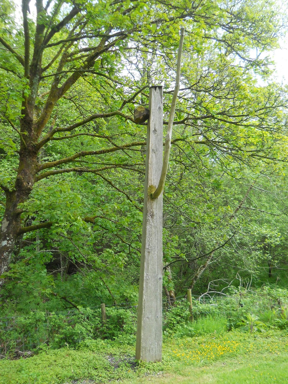 Large wooden outdoor sculptures at Lake Vyrnwy and Bala in Wales