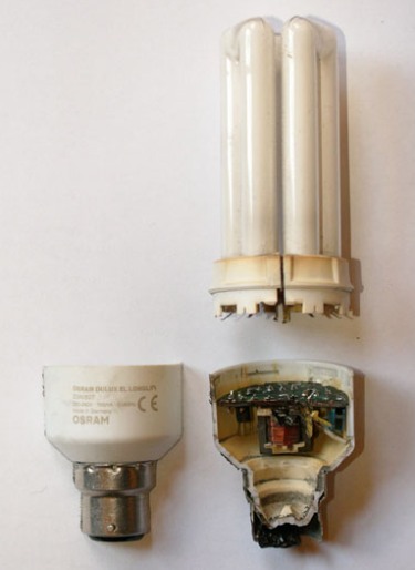 Freedom Light Bulb See F L Stripping The Light Fantastic