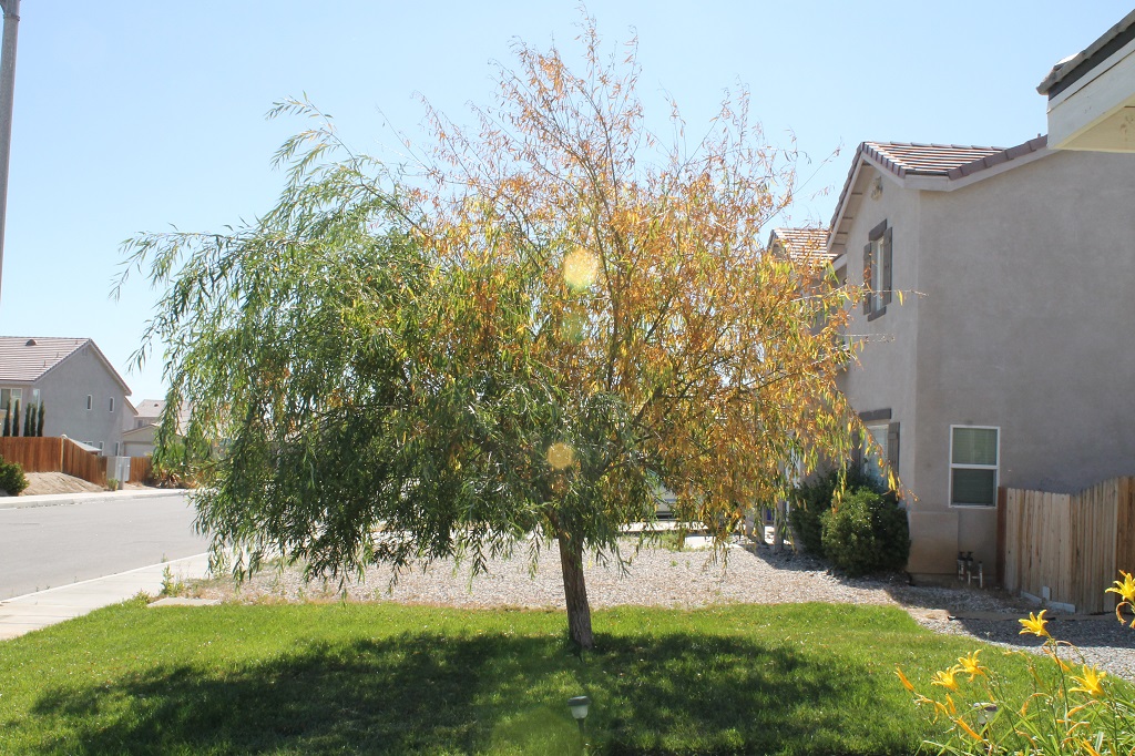 Heart 2 Heart June 2013