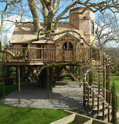 large tree house designs