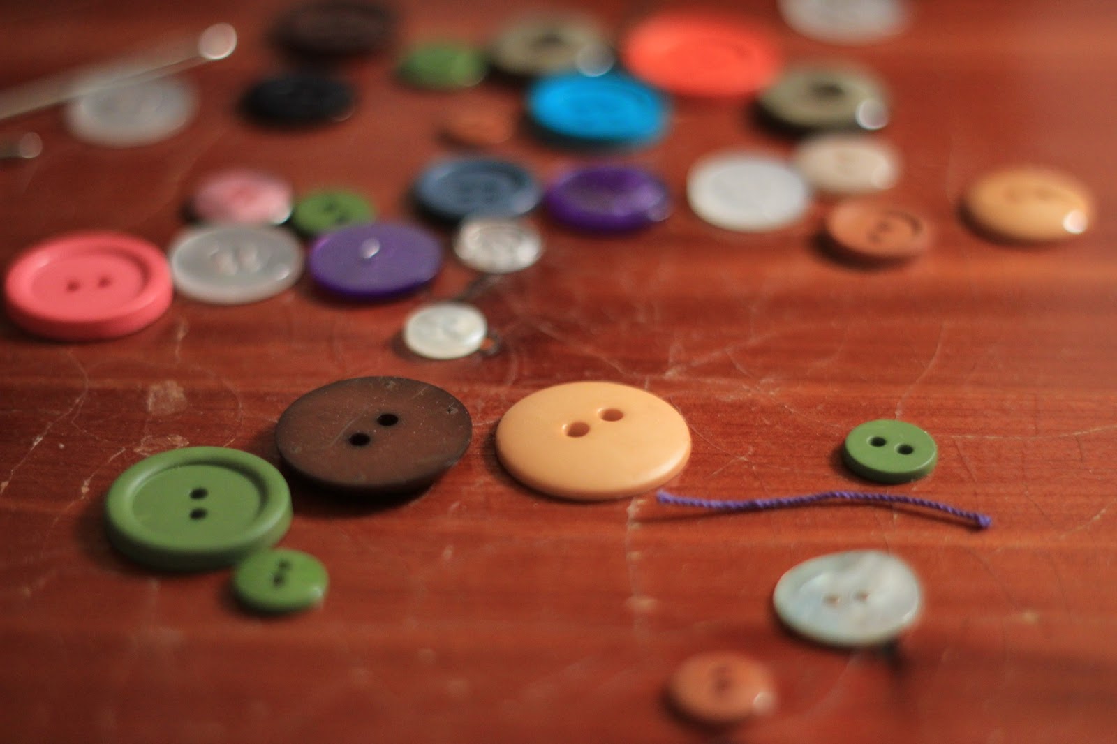 Camera Fun Melmaria Designs Camera Fun