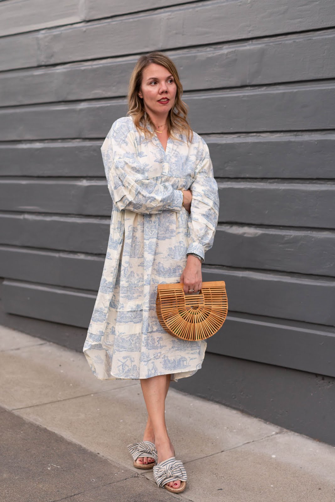 Shop the Best Toile Dresses of Summer 2022