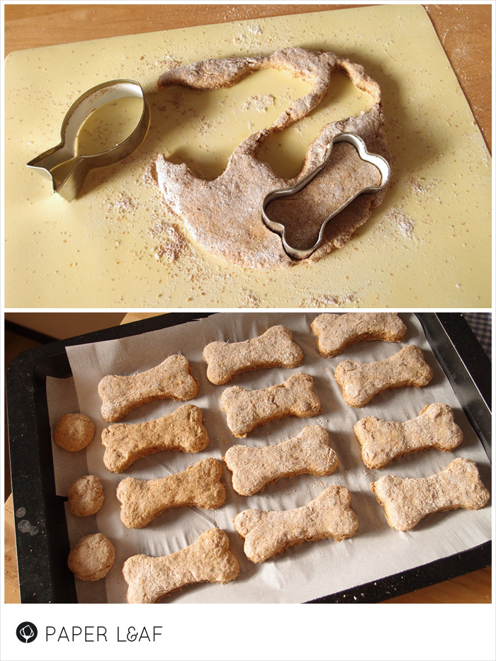 Paper Leaf Biscotti da cani e tagliabiscotti da tonno