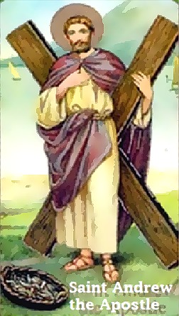 St andrew apostle school md picture