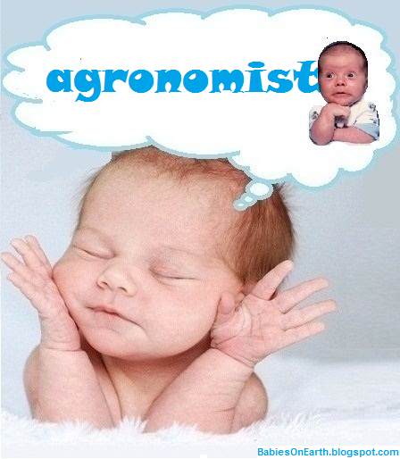 agronomist agronomist