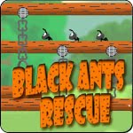 Black Ants Rescue Game