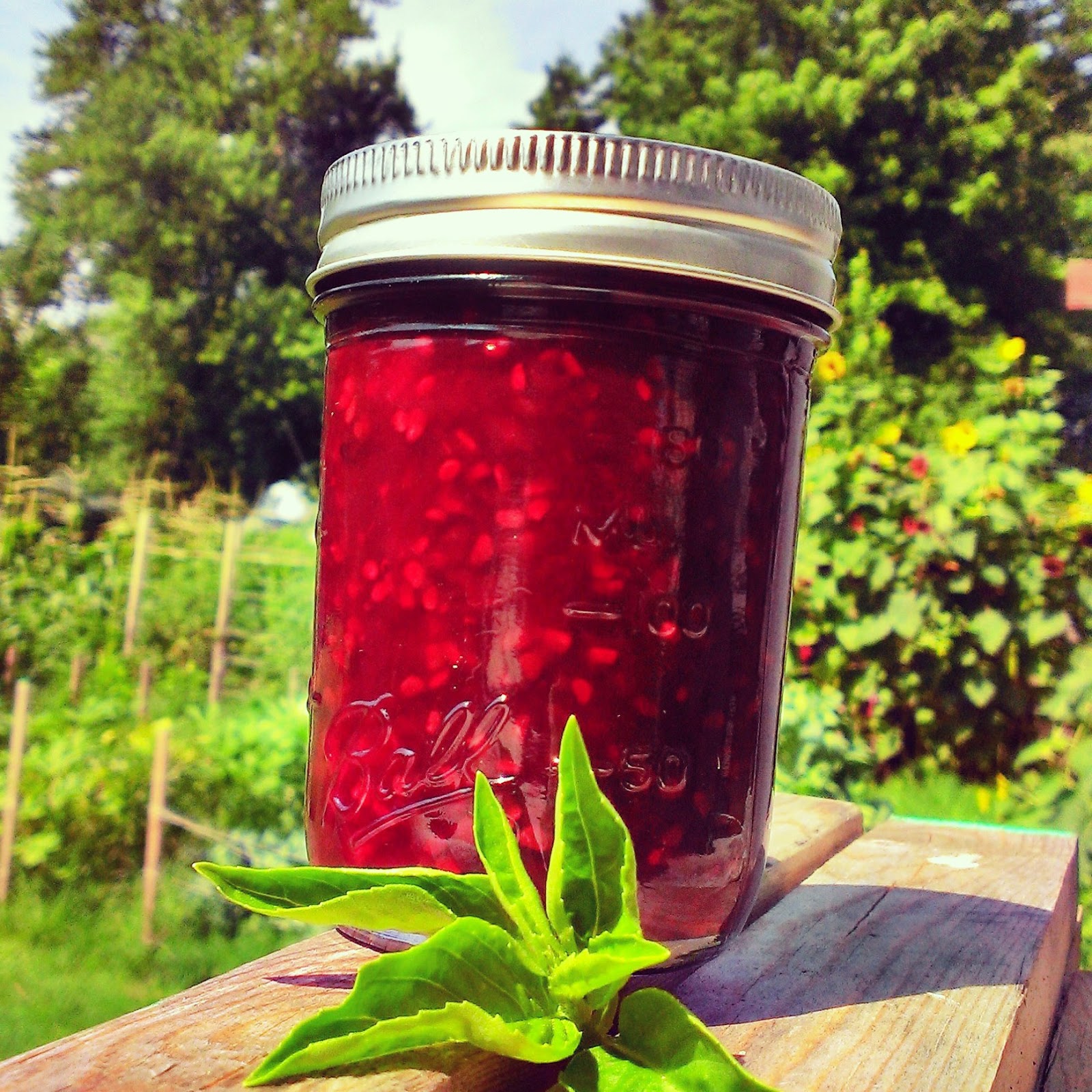 Cluck Wild Homestead Blackberry Basil Jam