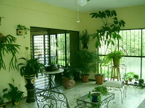 Cómo Decorar una Sala de estar con Plantas frescas | Decoracion de