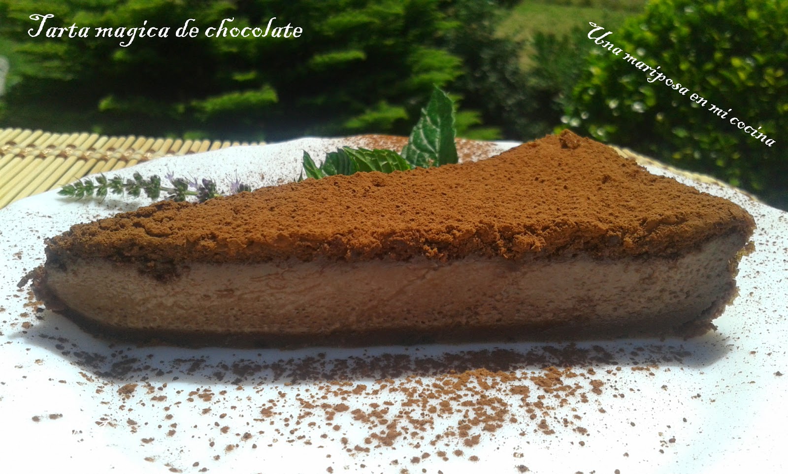 Tarta Magica De Chocolate
