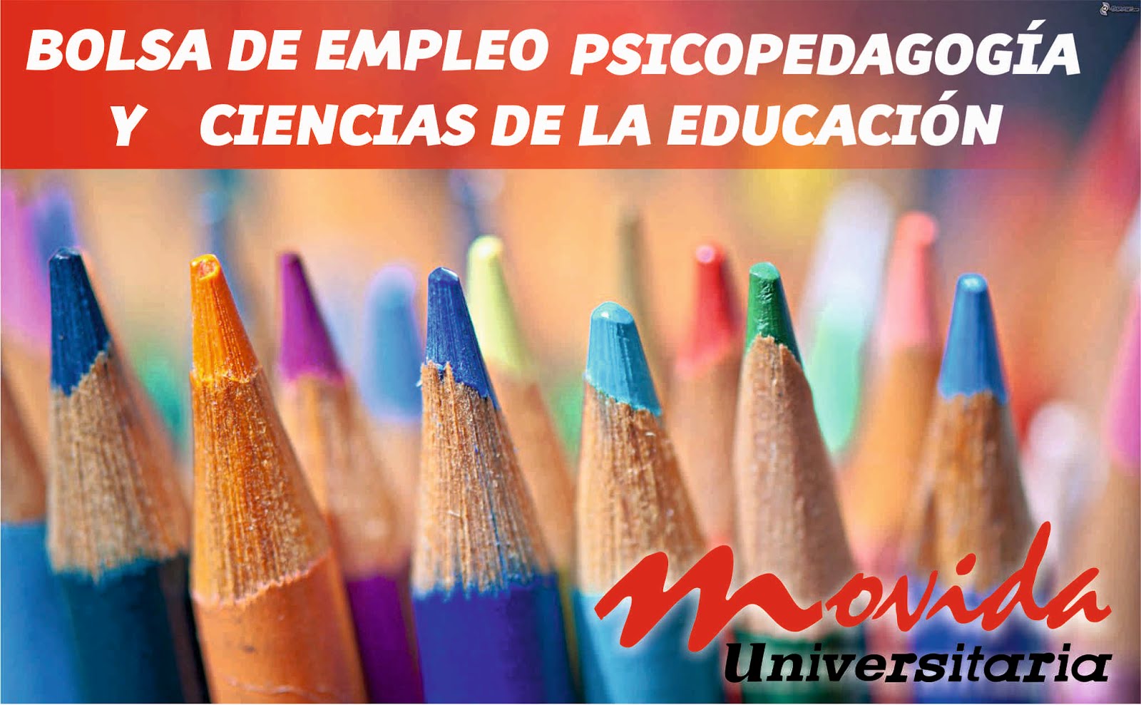 Bolsa de empleo Psicopedagogía y Cs. de la Educación