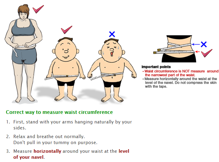 How to measure Waist Circumference 