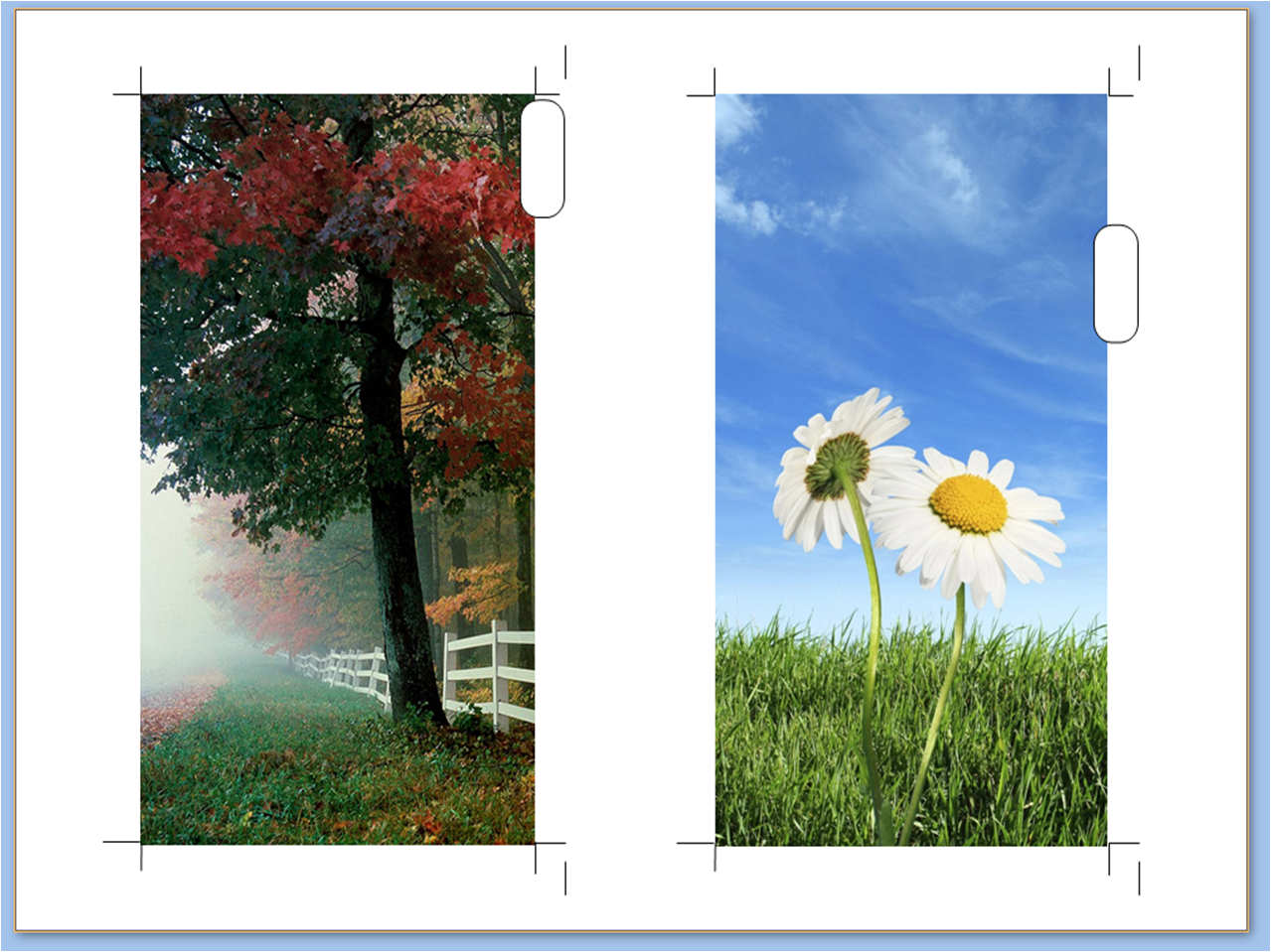 My Life All in One Place Making photographic dividers at home for your