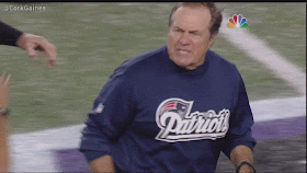 belichick-grab.gif