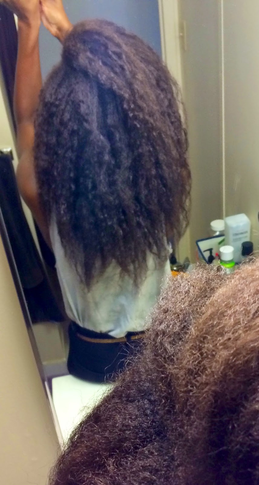 Frobunni I Revolutionized My Wash Day