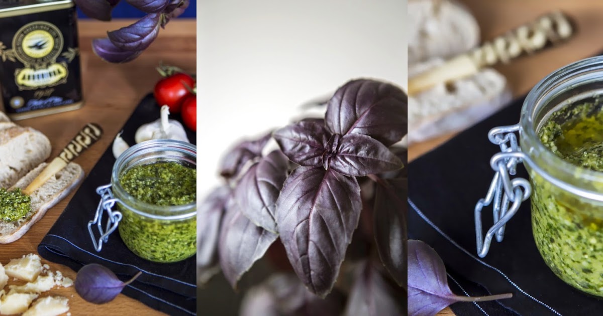 Homemade red basil pesto