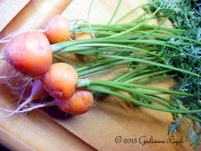Organic Parisian "round" Carrots - Victory Seed Company
