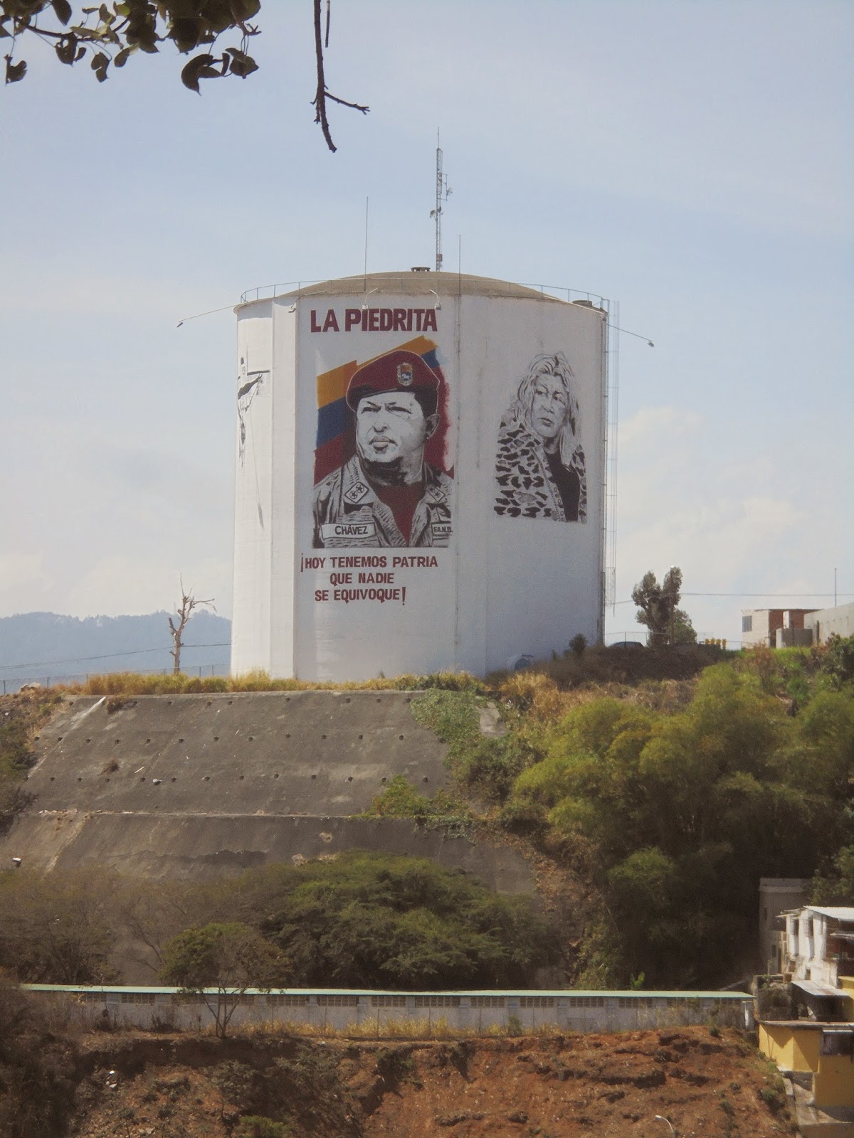 ALBA DE LOS MOVIMIENTOS SOCIALES CAPÍTULO PERÚ VISITA A LA TUMBA DE