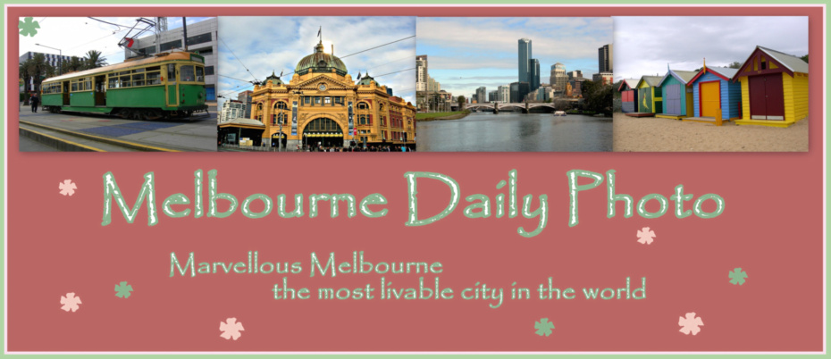 Melbourne Daily Photo