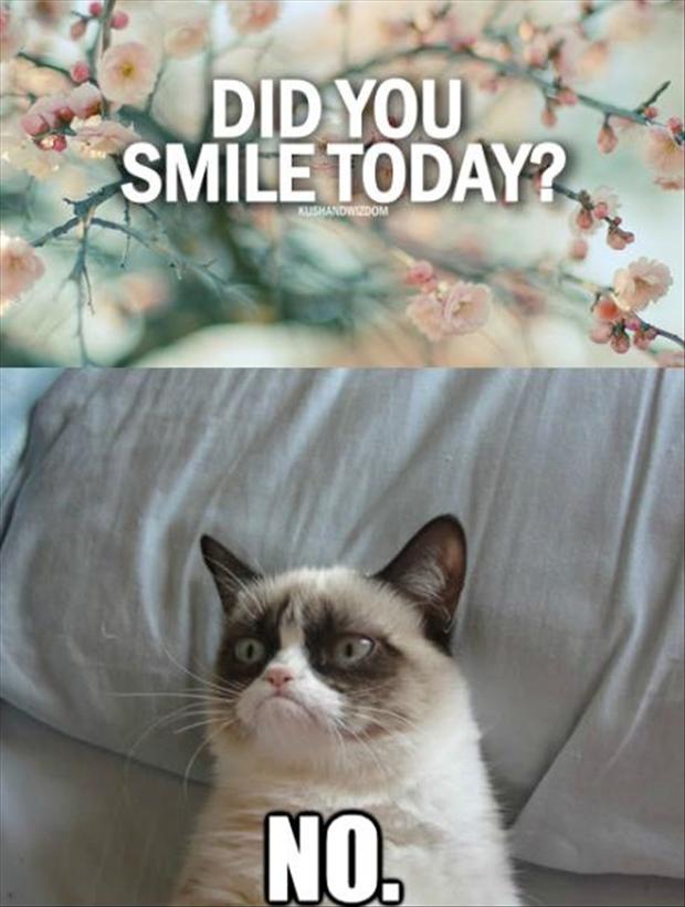grumpy-cat-did-you-smile-today-no.jpg