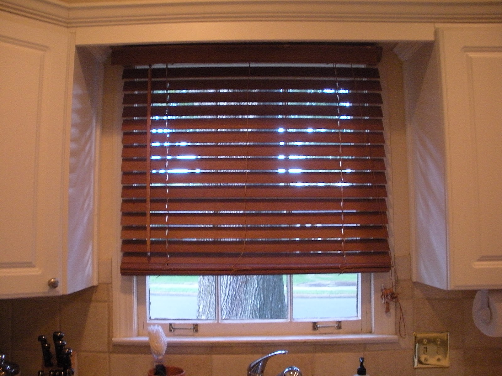 The Zoo Covering Kitchen Windows