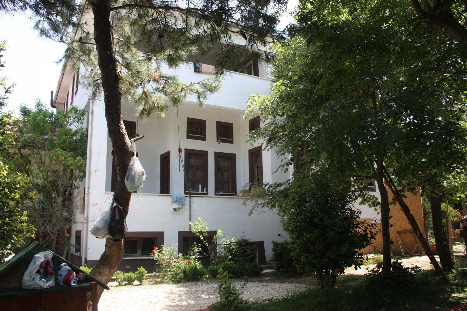 sahibinden köpek oteli İstanbul