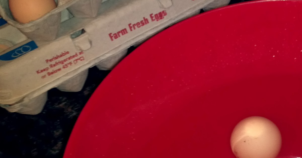 Chicken Lytle's Blog Float Test to Check Egg Freshness