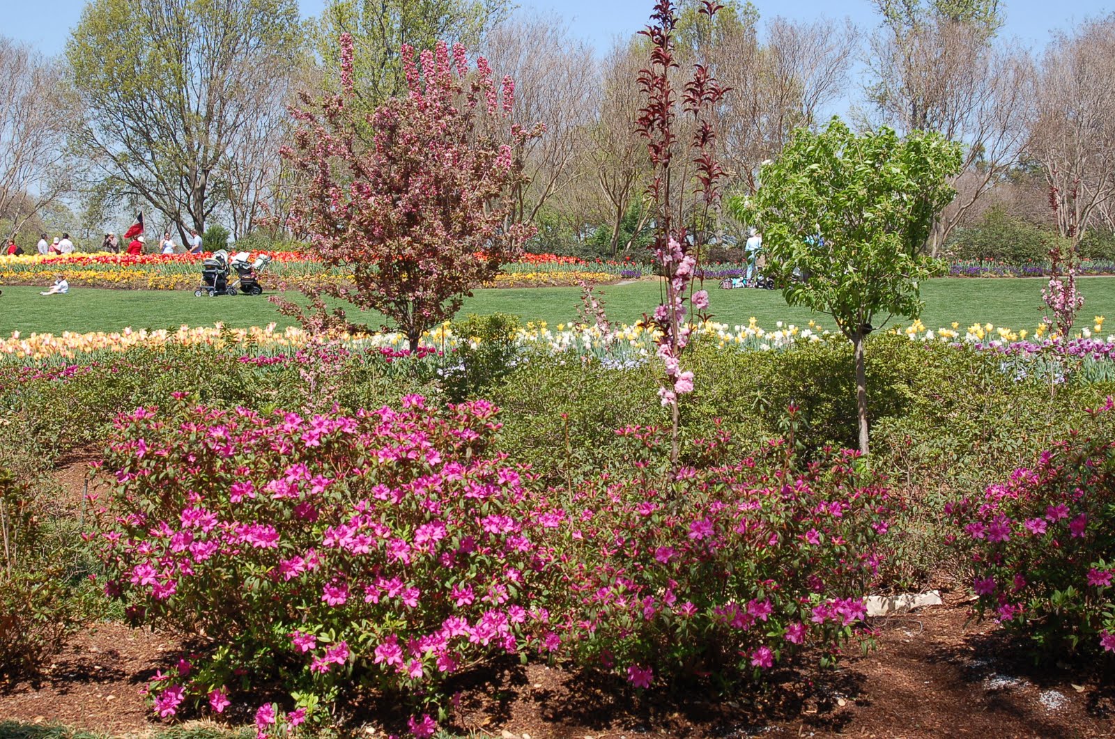 bwisegardening November 2011