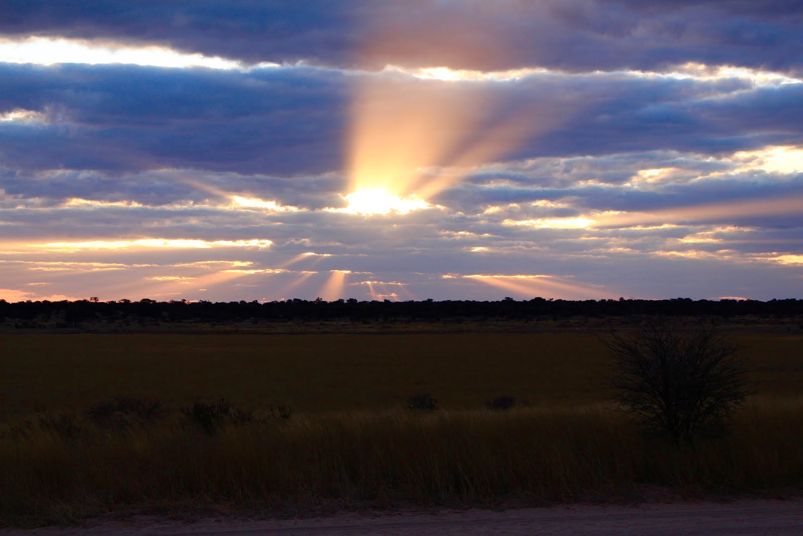 Sunset in the Kalahari Desert