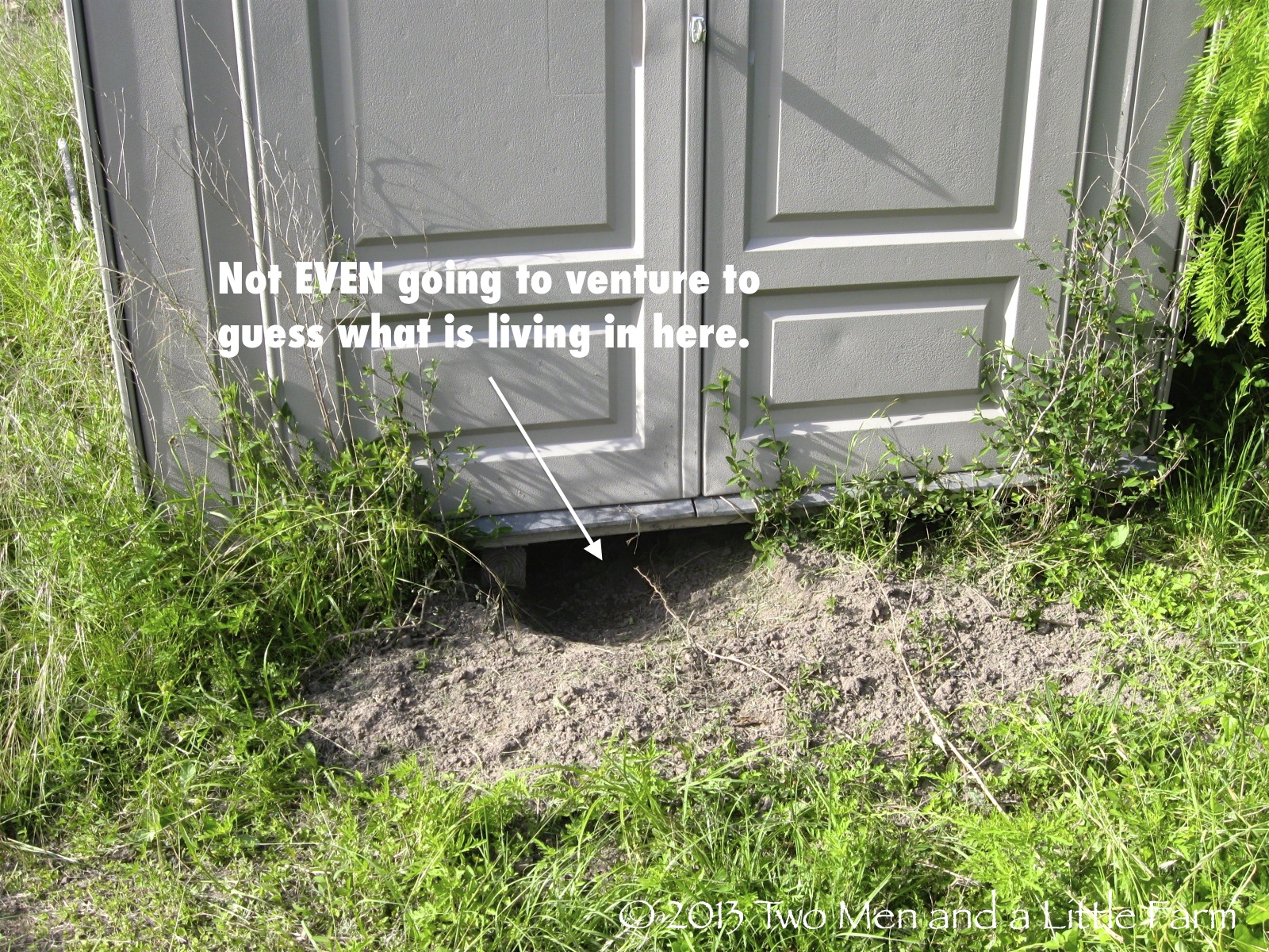 Two Men and a Little Farm May 2013