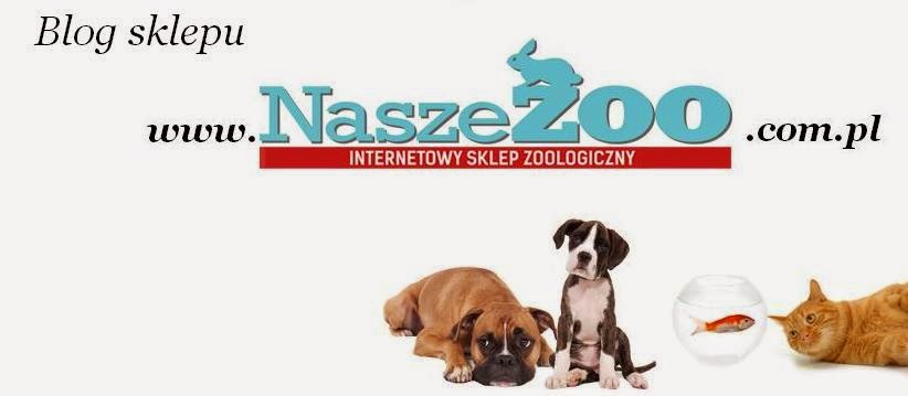 Blog sklepu NaszeZoo.com.pl