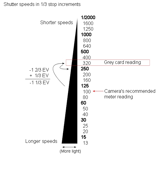 18 percent gray card