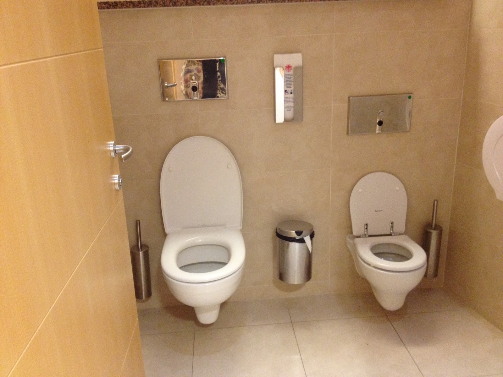 Via Fontanelle YCMTSUThe Dreaded Italian "toilet"