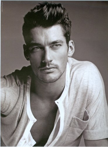 david gandy wiki