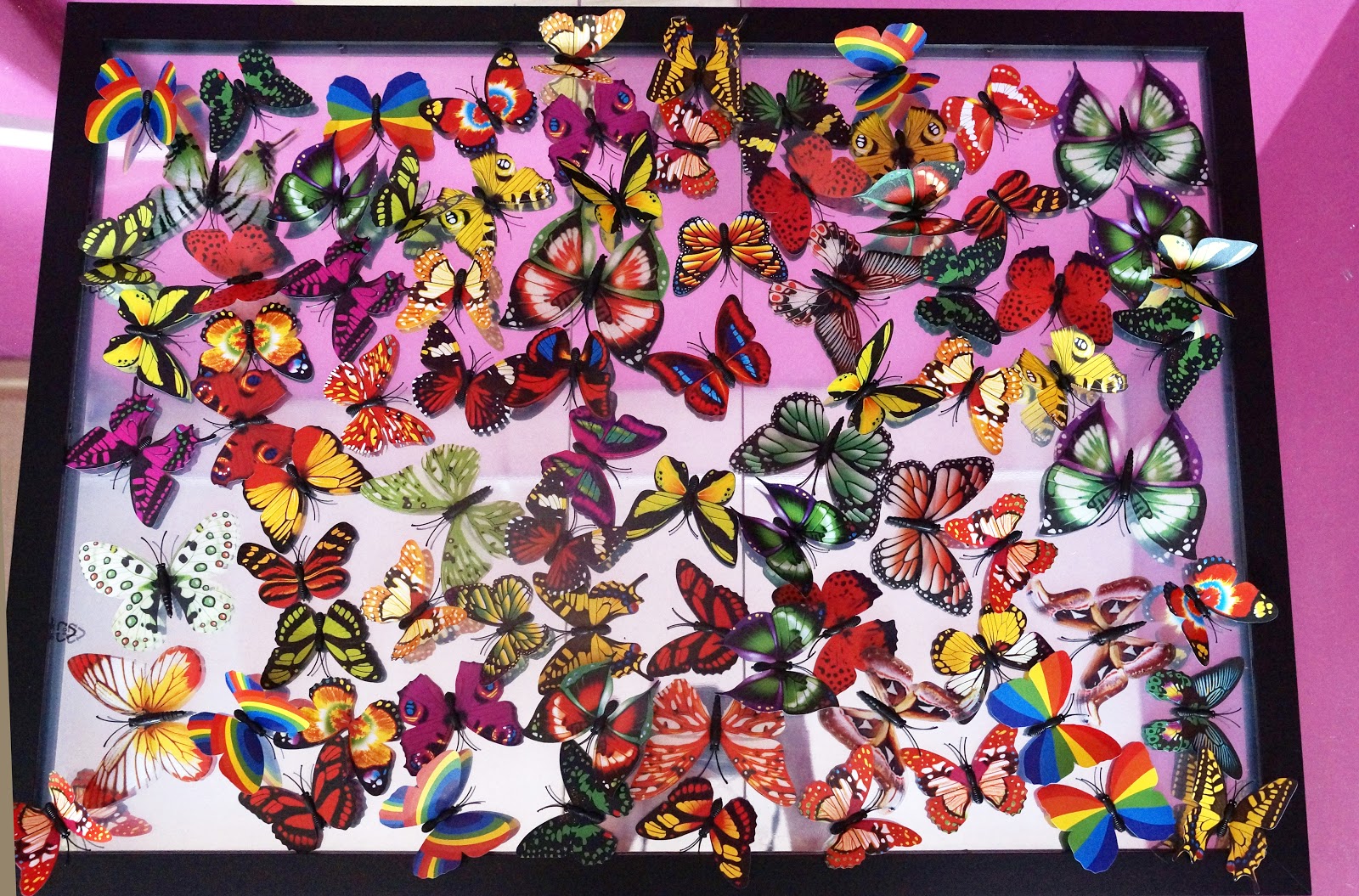 Download Kinga Sektas Jewellery Photography And Make Up Studio New Butterfly Picture 3d Canvas Wall Art