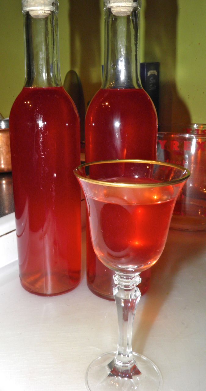 Docaitta Lifestyle Booze of the Week Strawberry Kiwi Liqueur